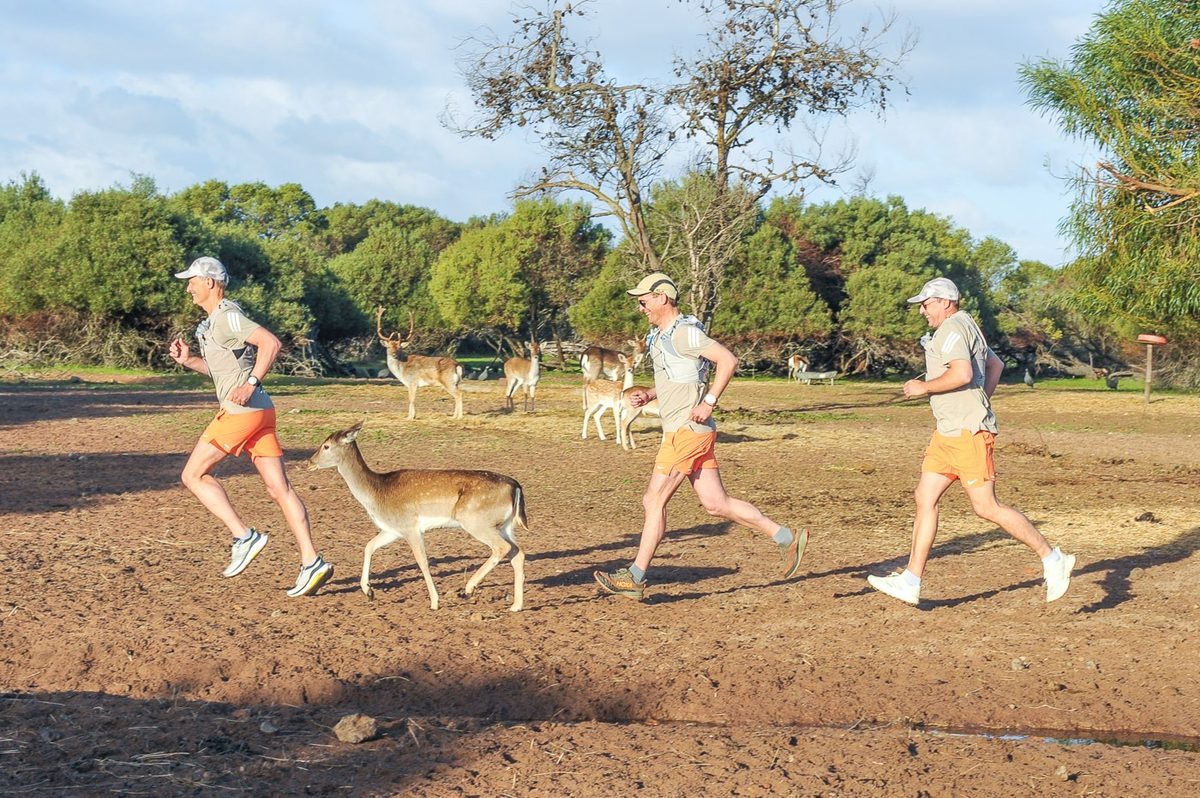 Trail runners at Kalmeer with game in the background